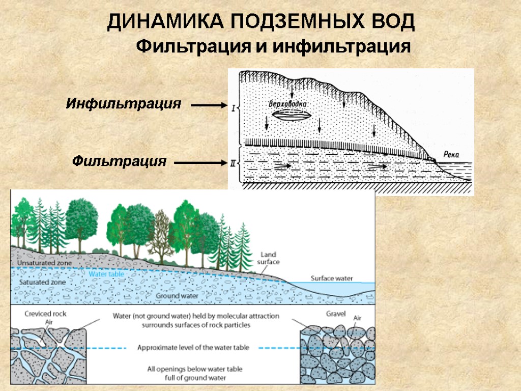 ДИНАМИКА ПОДЗЕМНЫХ ВОД Фильтрация и инфильтрация Инфильтрация Фильтрация